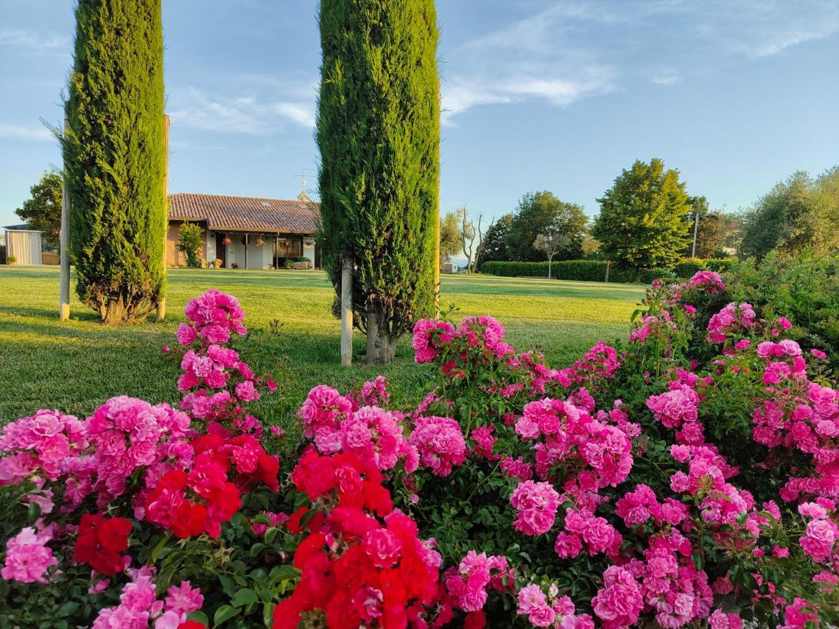 B&B Villa Letizia San Vito  Bagian luar foto